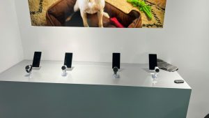 z6866913778358 f85b624bcdb133a9c81adc3bb6d16c66